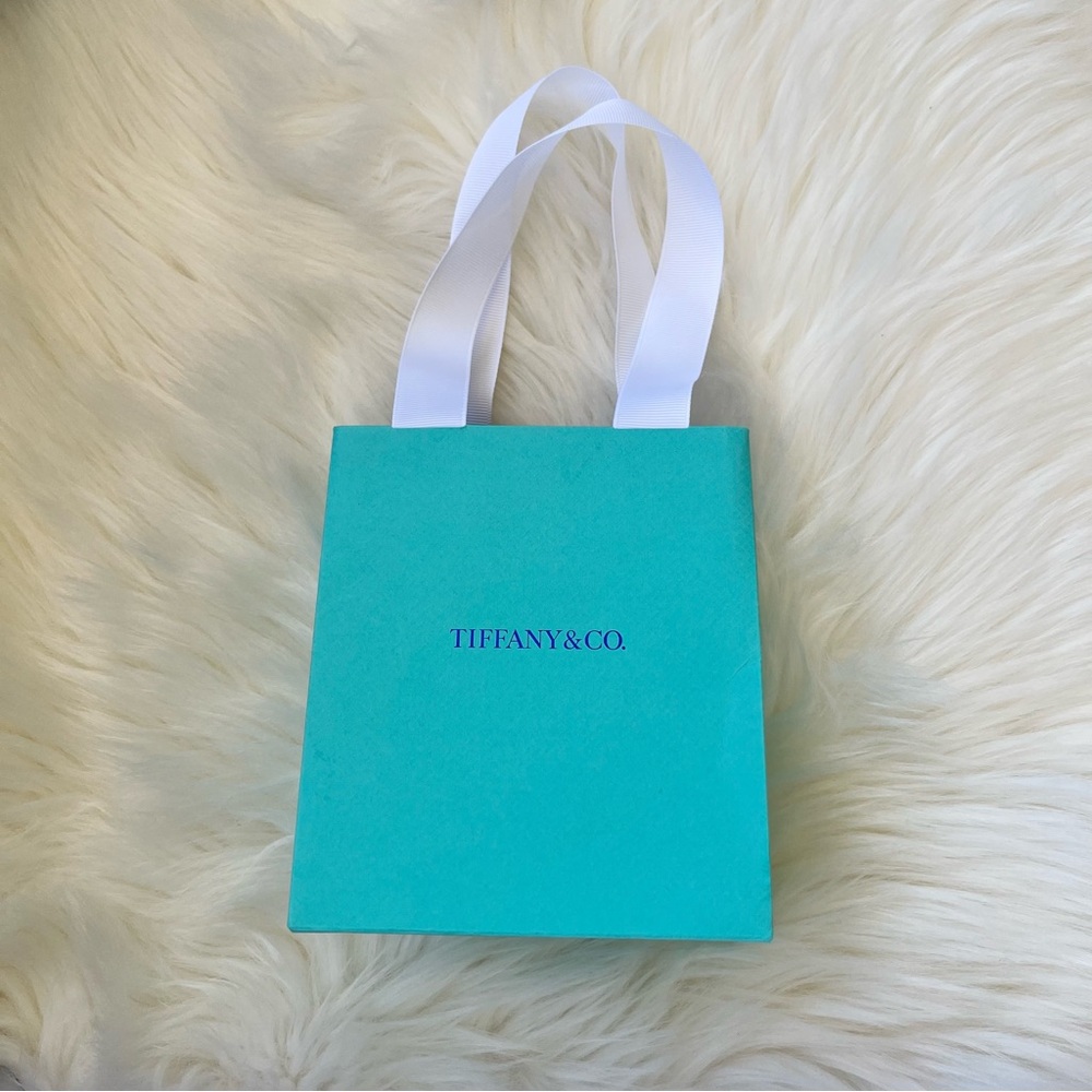Tiffany & Co. Turquoise Gift Bag with White Ribbon Handles